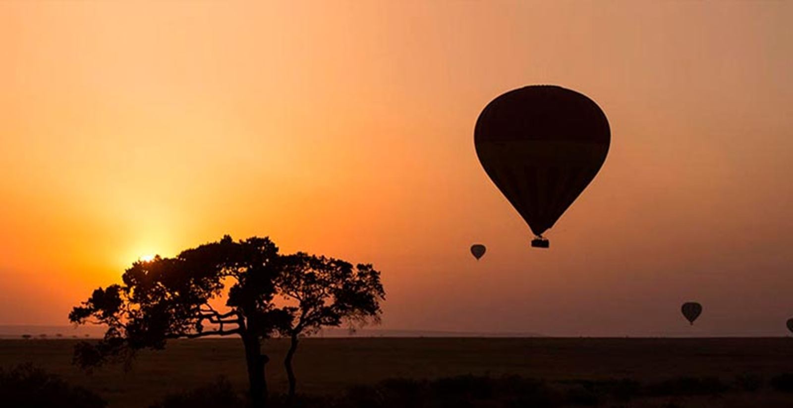 Enkewa  en Masai Mara