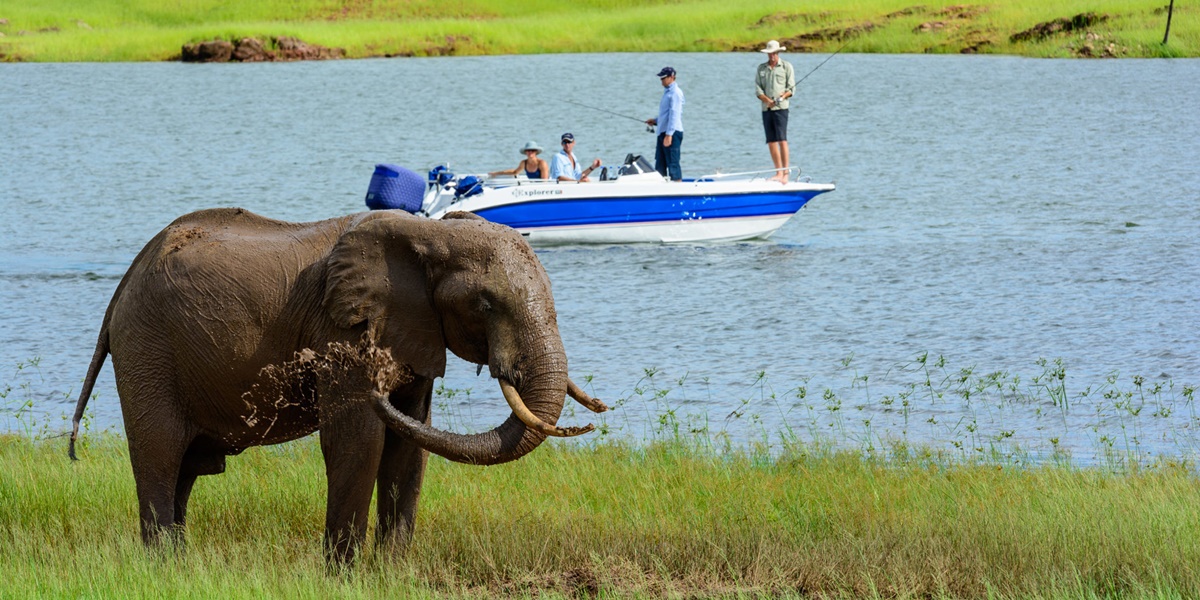 Crucero Safari  en Matusadona 