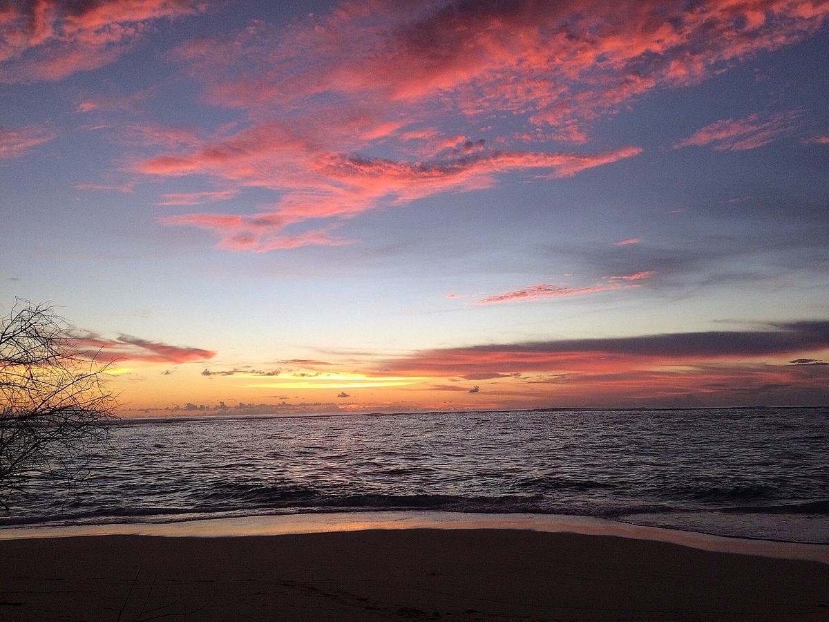 Togat Nusa Retreat en Islas Mentawai