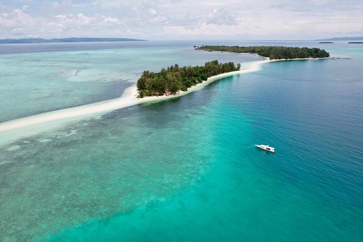 moluccas island | LAT.40