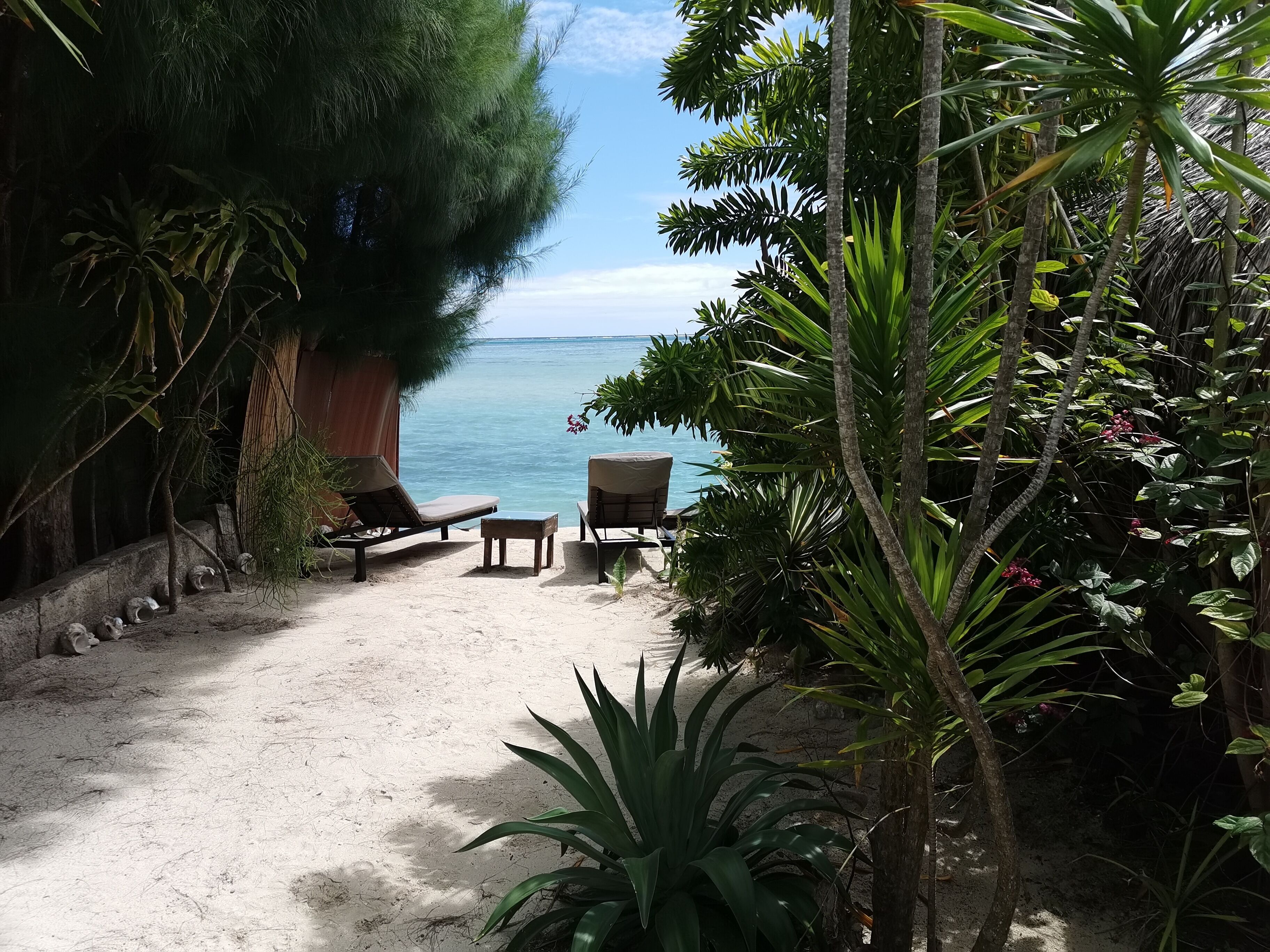 Moorea