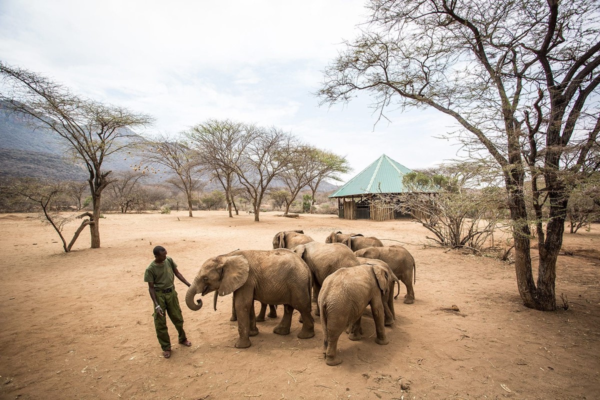 Saruni Rhino en Namunyak Wildlife Conservancy