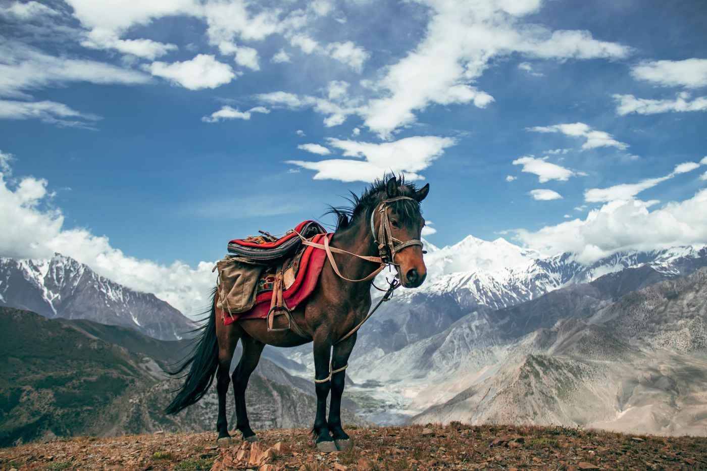 Shinta Mani Mustang – A Bensley Collection en Jomsom