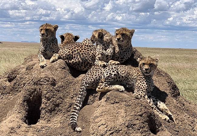Lemala Osonjoi Lodge  en Ngorongoro