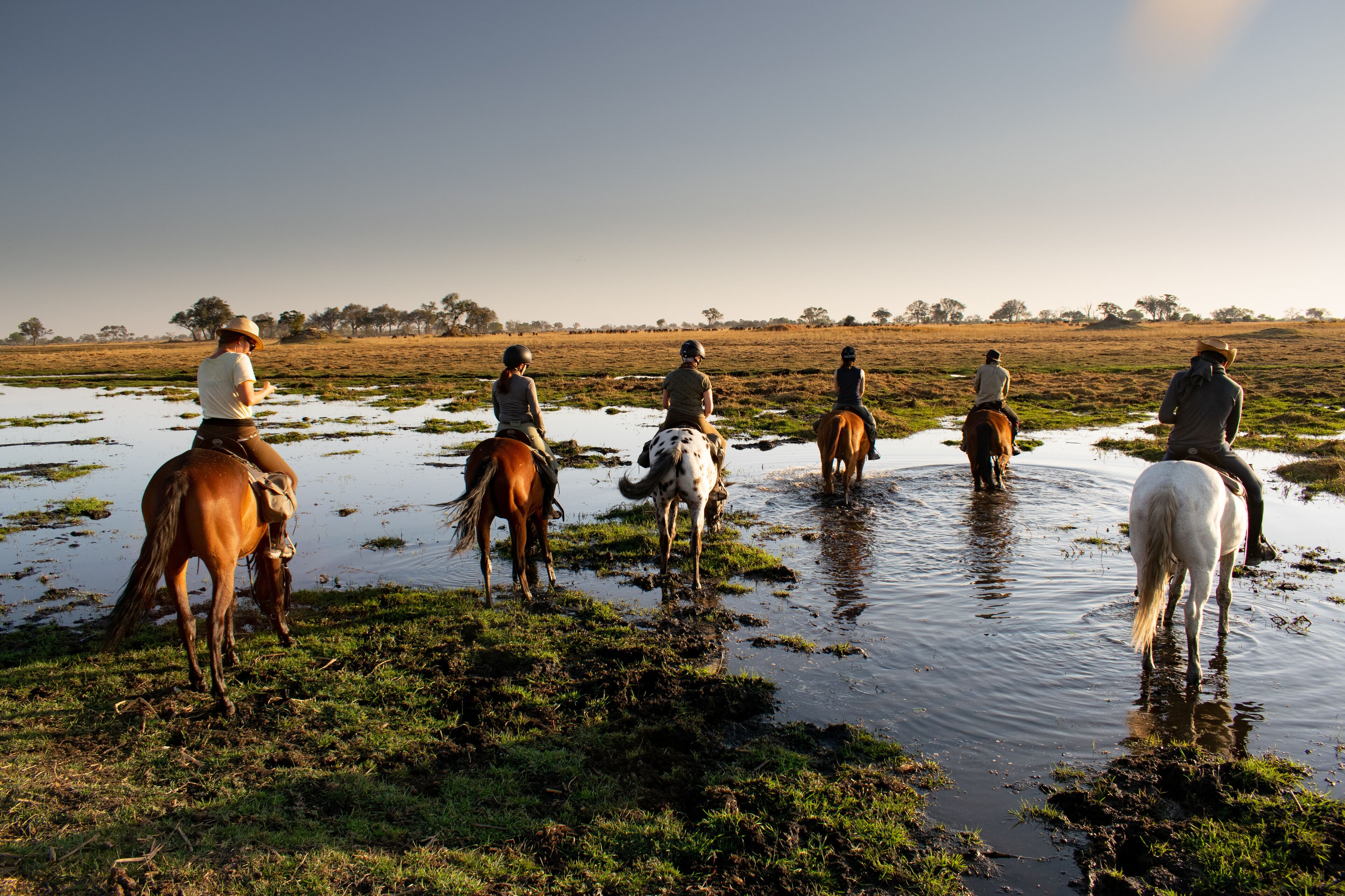 Cha Cha Metsi en Delta Okavango
