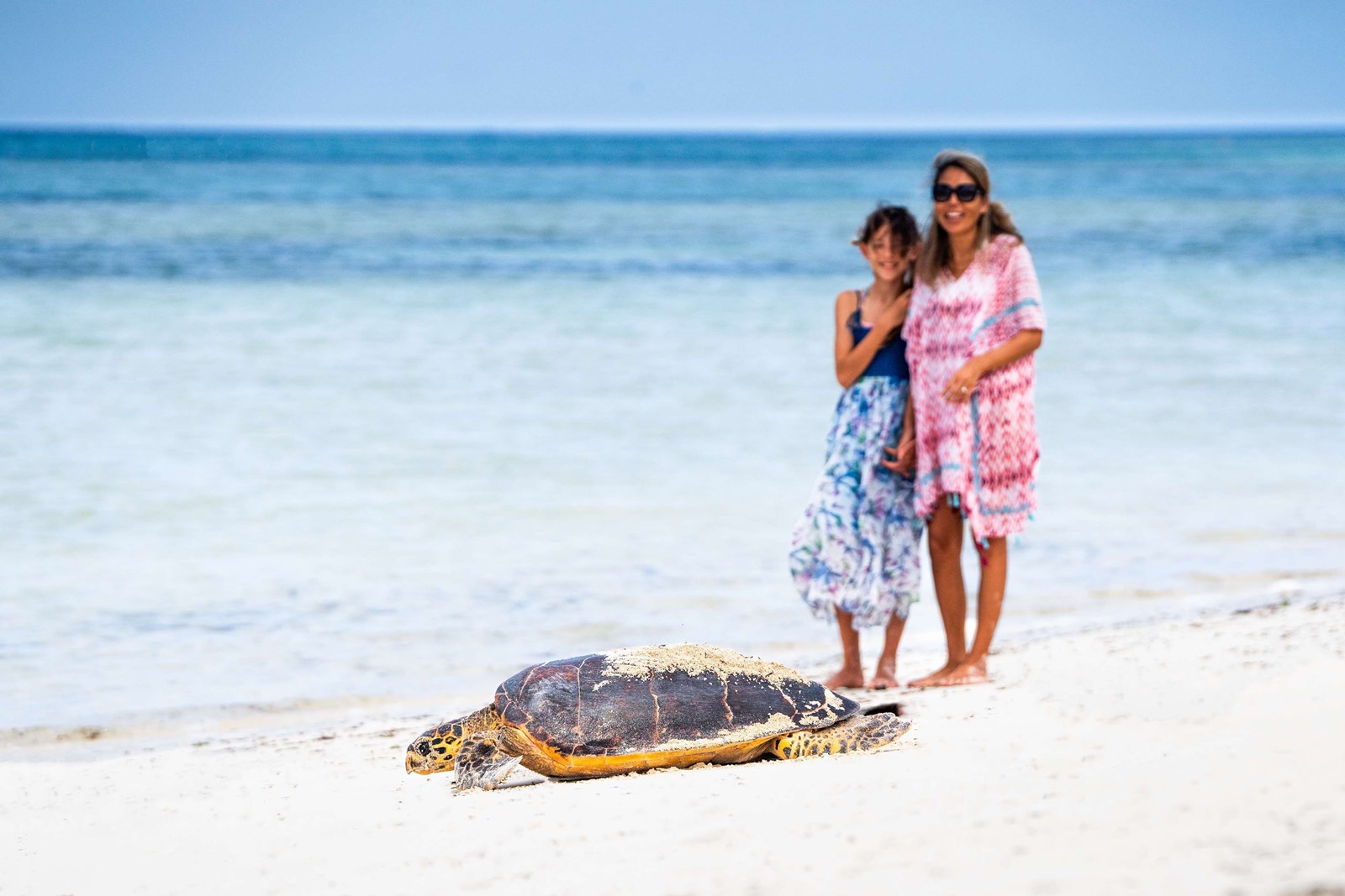 Waldorf Astoria Seychelles  en platte island