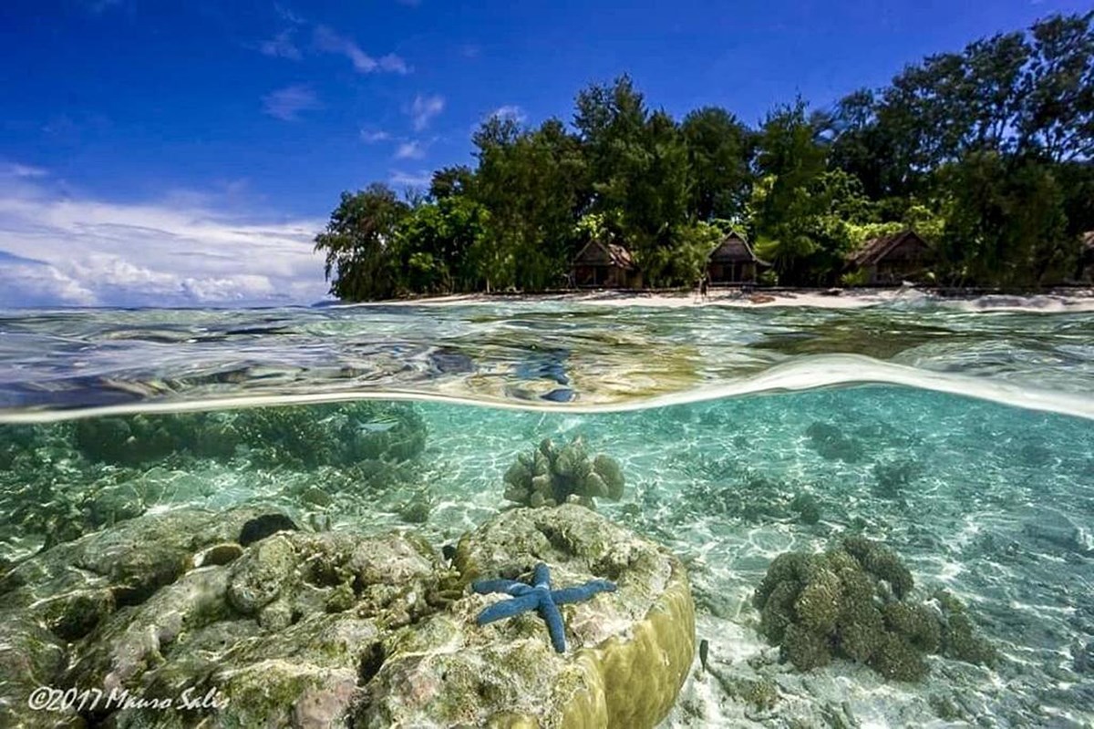 wai resort en Raja Ampat