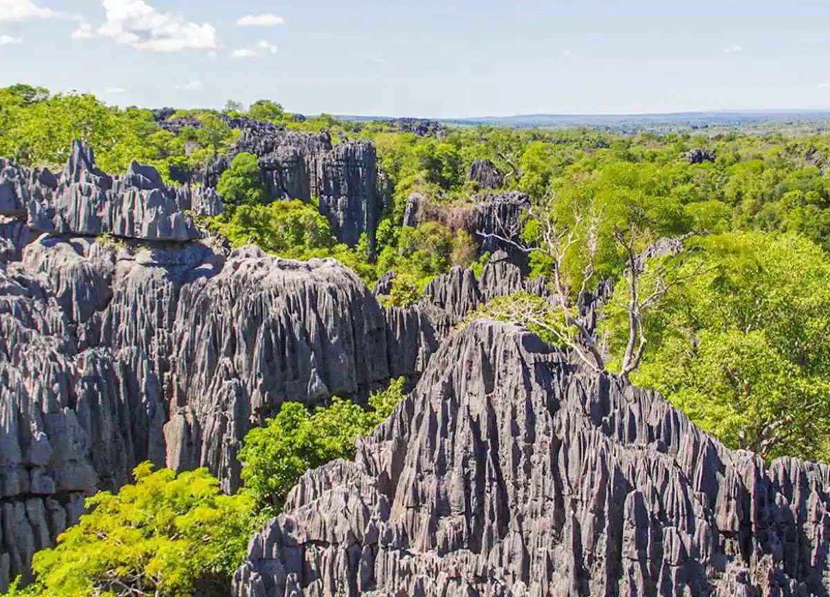 Madagascar | LAT.40