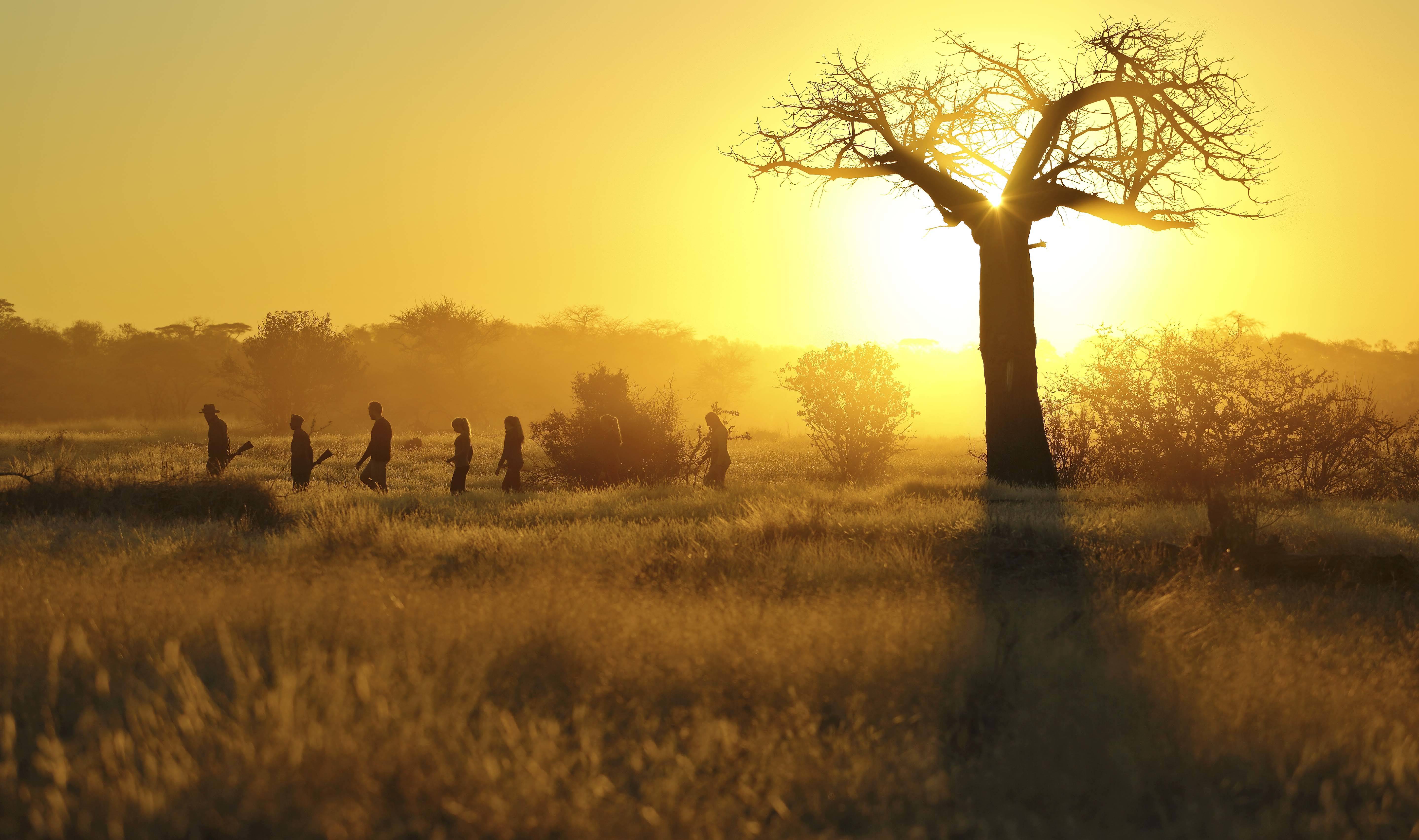 Kichaka Zumbua en Ruaha