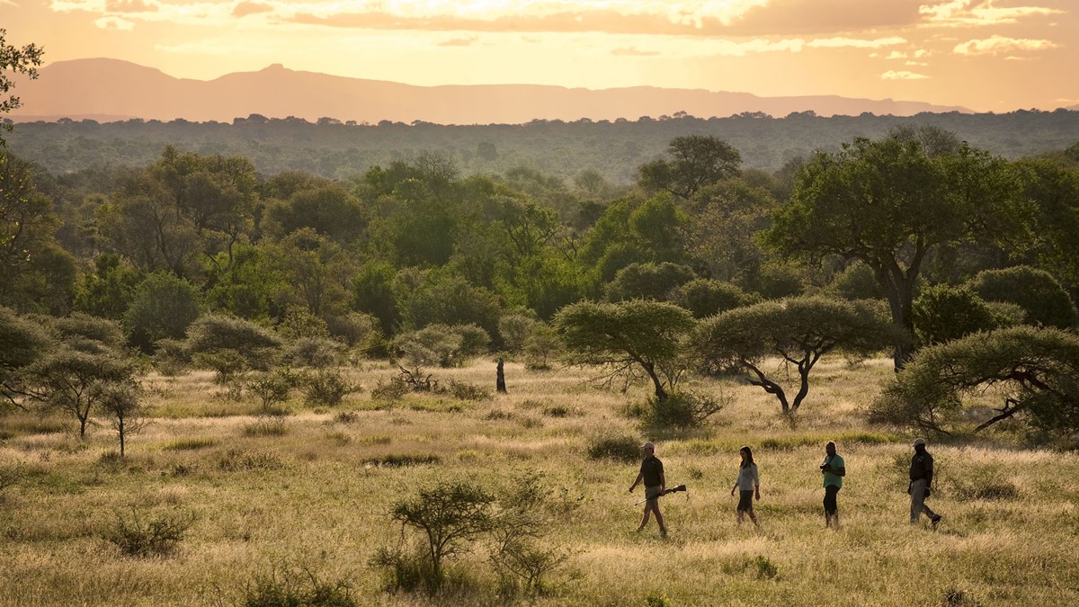 andBeyond Tengile River Lodge en Sabi Sands