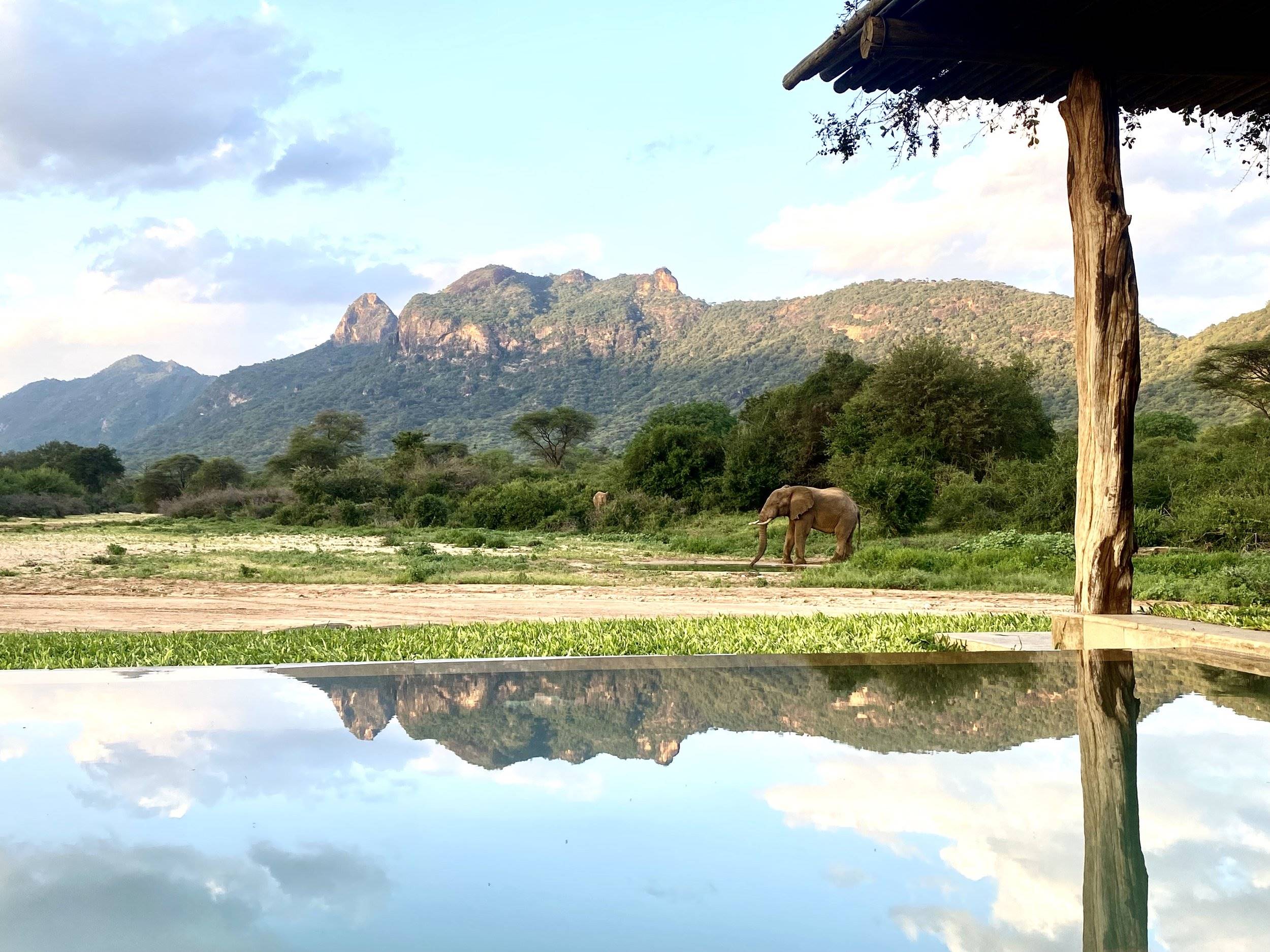 Samburu