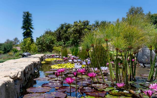  San Ysidro Ranch en Santa Barbara