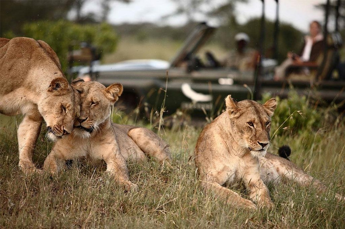 andBeyond Klein's Camp en Serengeti
