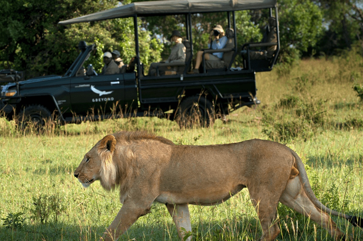 andBeyond Klein's Camp en Serengeti
