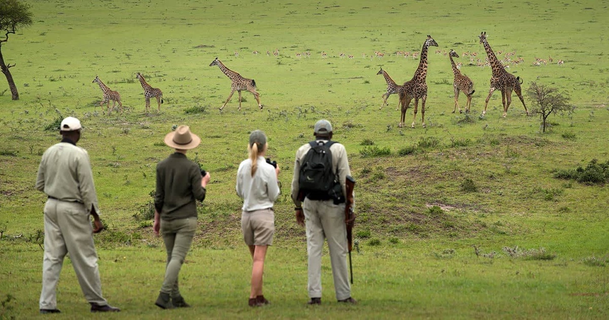 andBeyond Klein's Camp en Serengeti