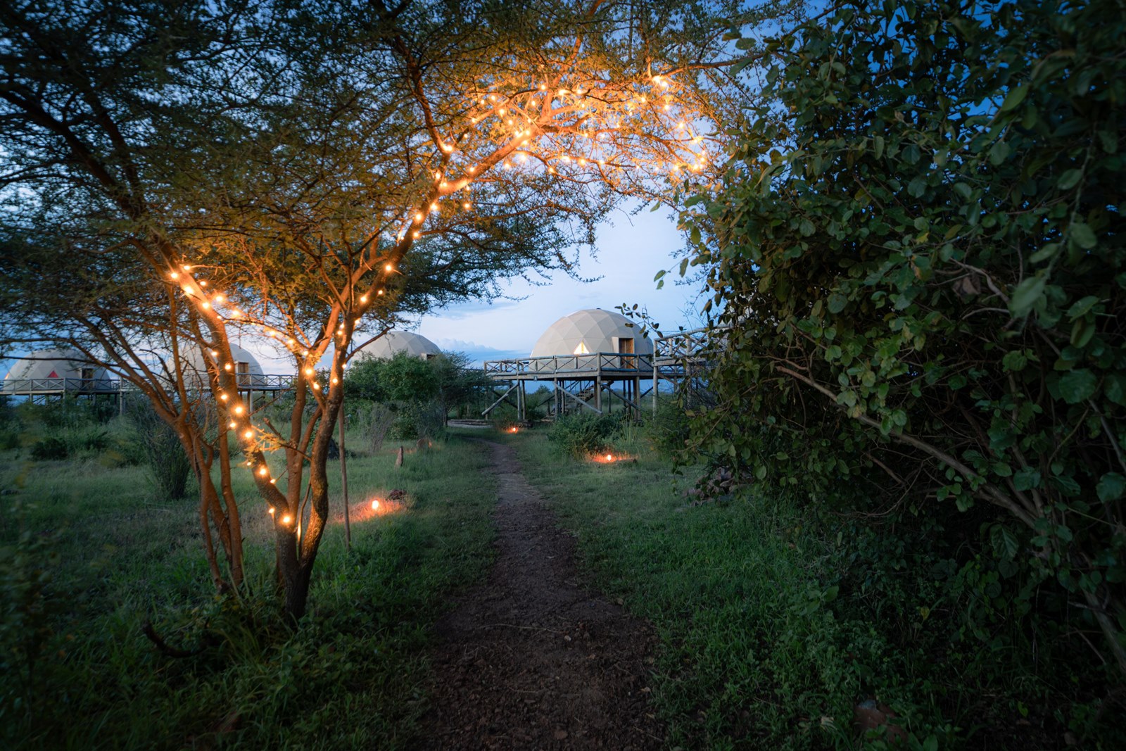 Kuoom Serengeti en Serengeti