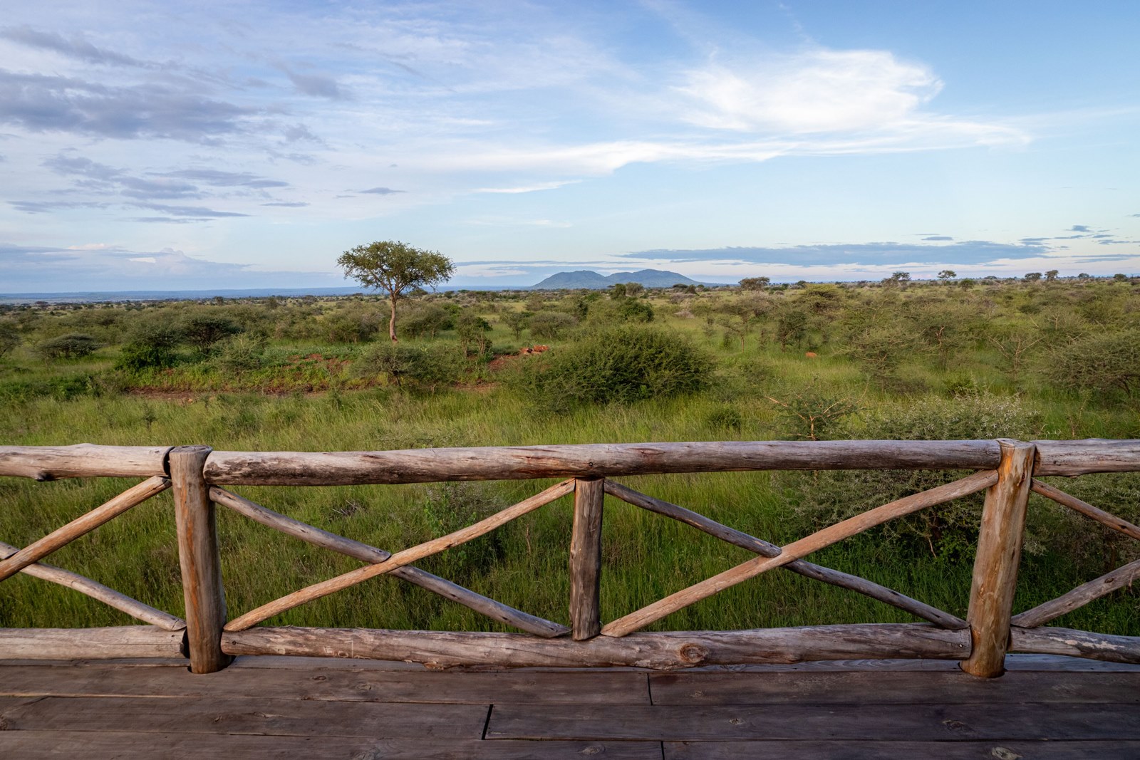 Kuoom Serengeti en Serengeti