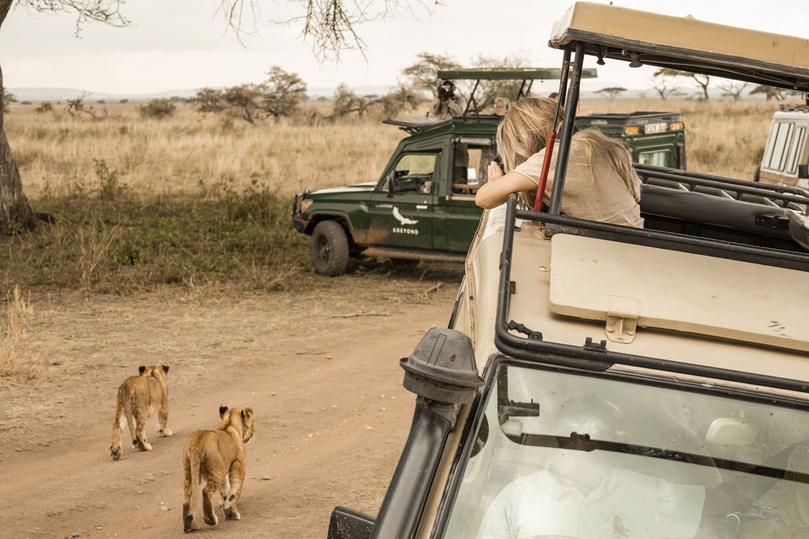 Kuoom Serengeti en Serengeti
