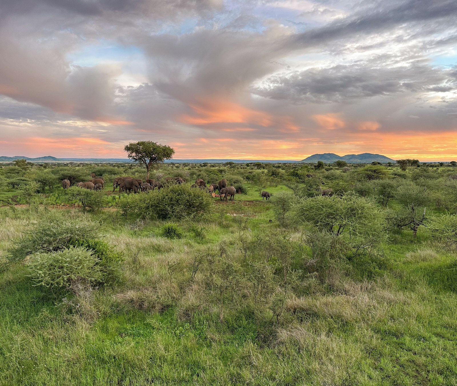Kuoom Serengeti en Serengeti