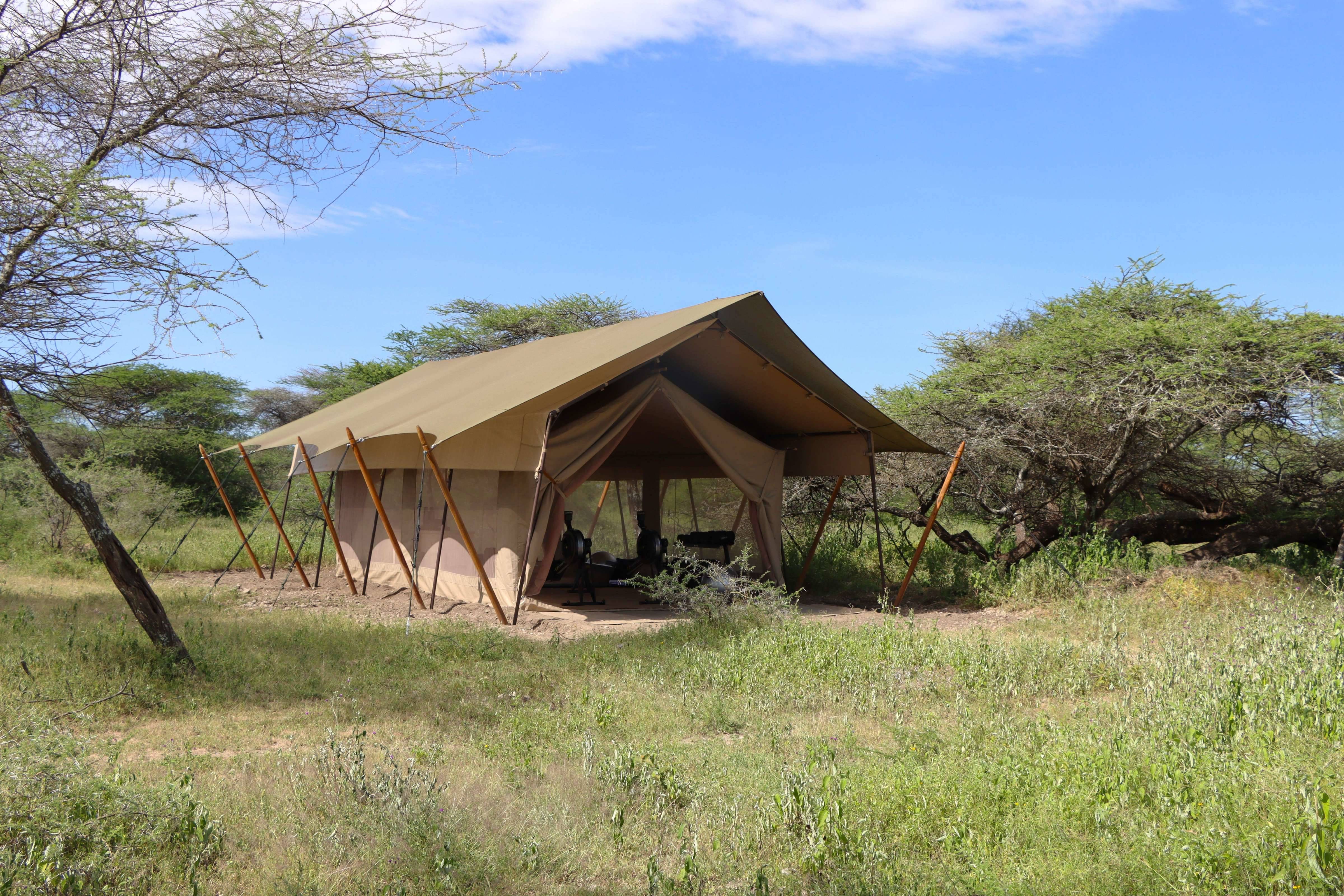 Serengeti