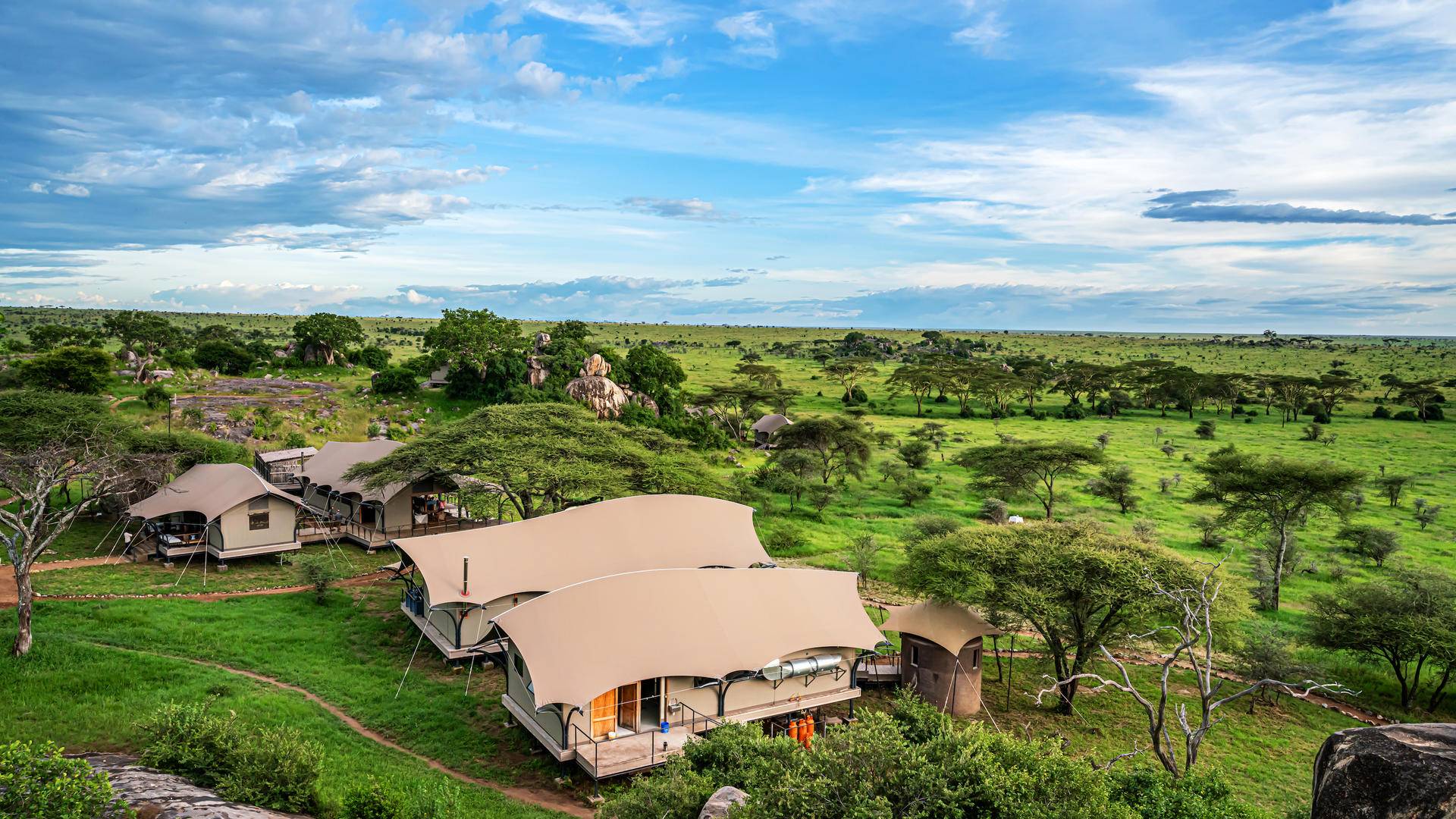 Lemala Nanyukie Lodge  en Serengeti