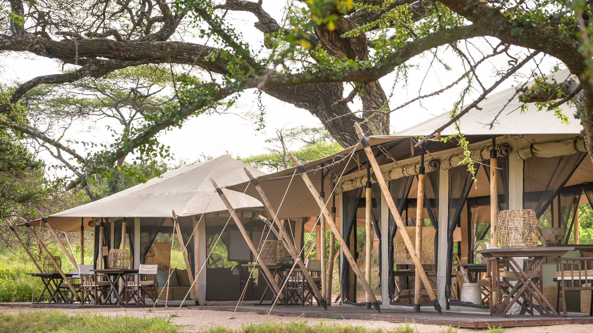 Mila Tented Camp en su destino