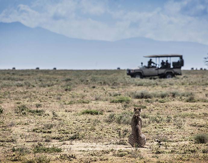 Mila Tented Camp en Serengeti