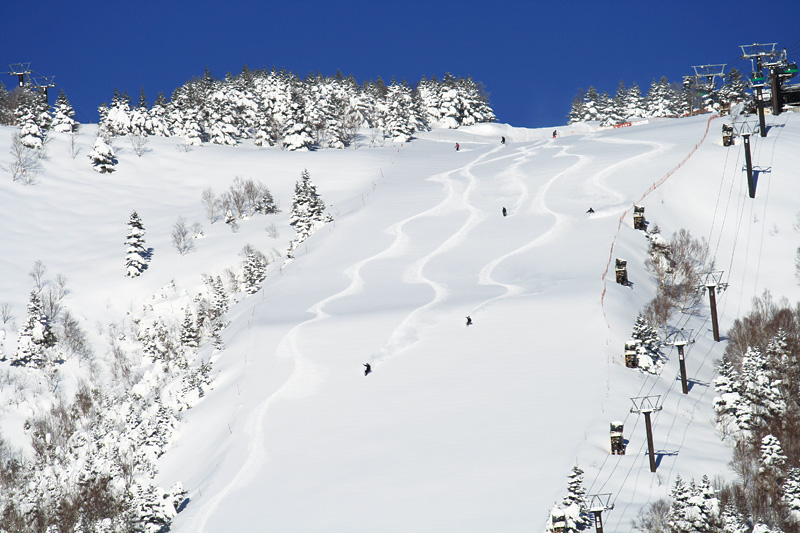 Shiga Kogen Prince Hotel  en Japan