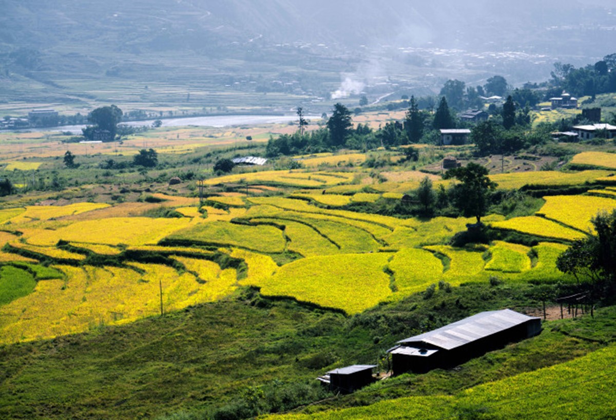 Six Senses Punakha en Punakha