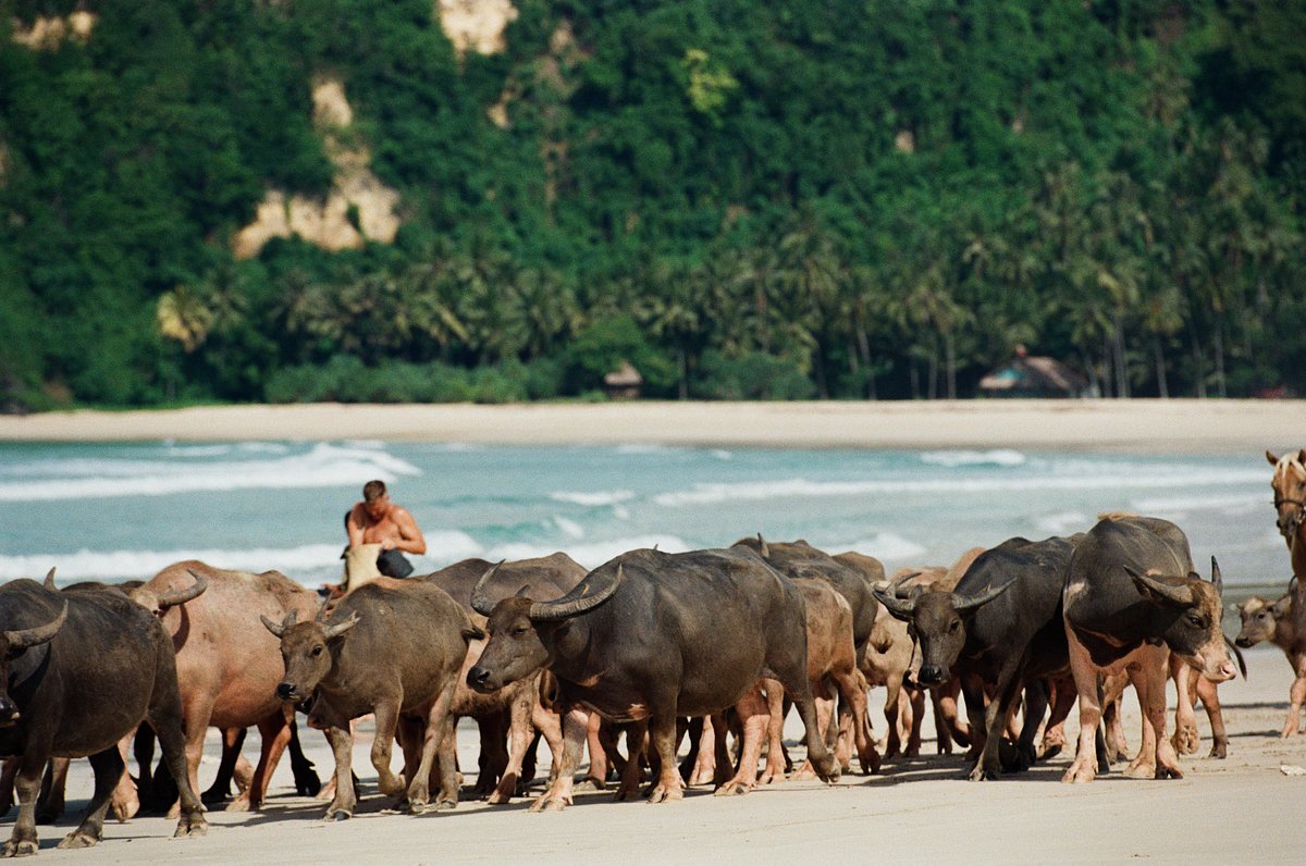 The Sanubari en Sumba Island
