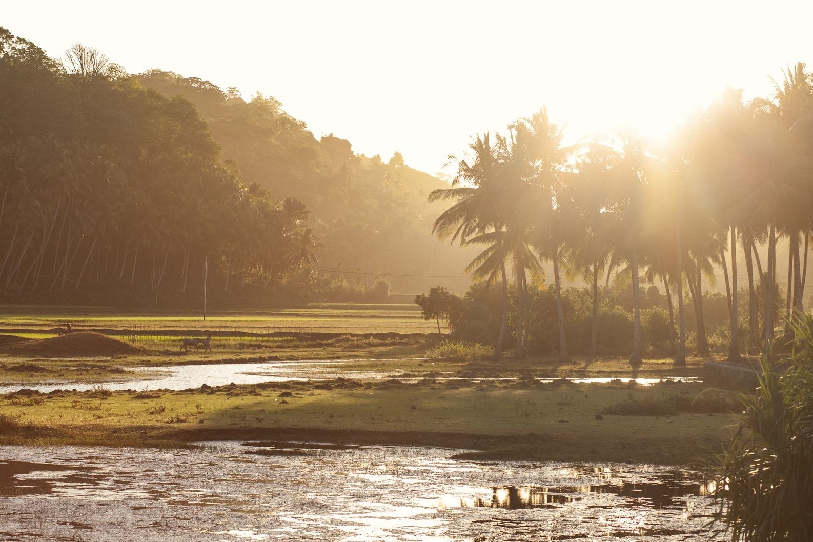 The Sanubari en Sumba Island