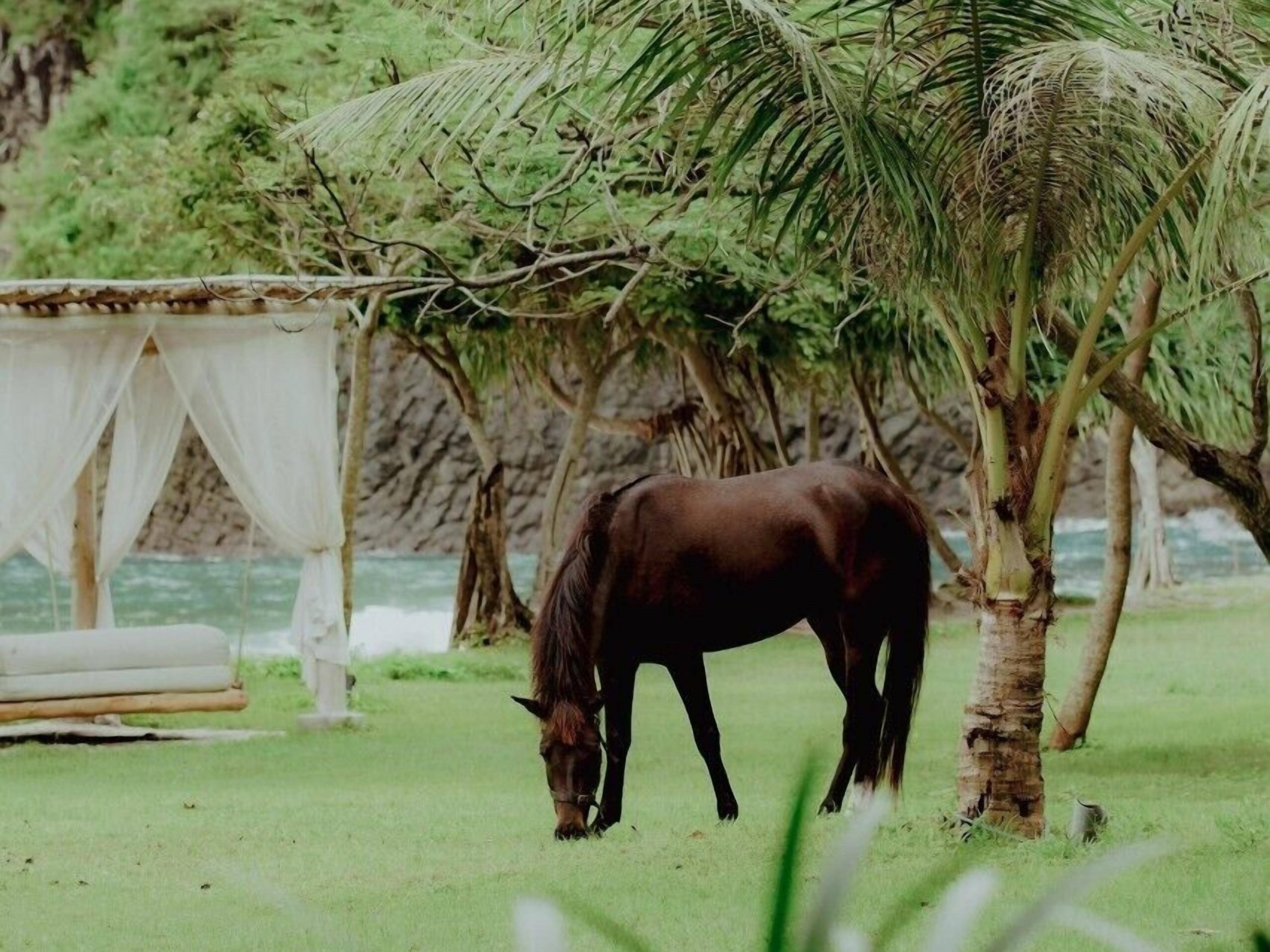 Sumbawa Island