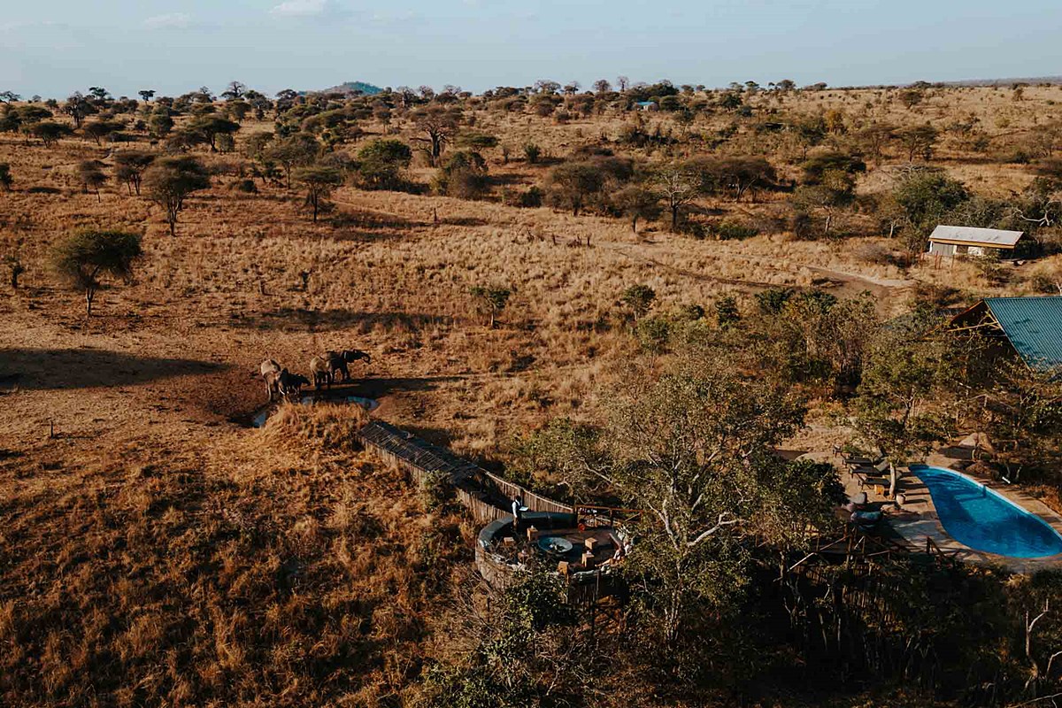 Nimali Tarangire en Tarangire