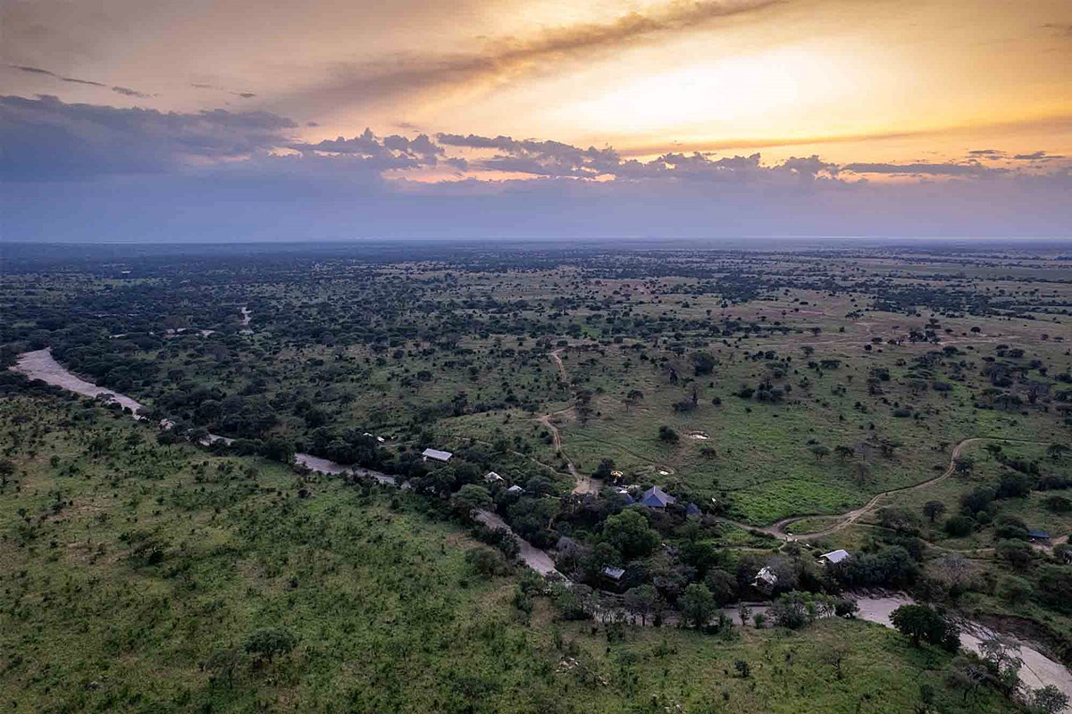 Nimali Tarangire en Tarangire