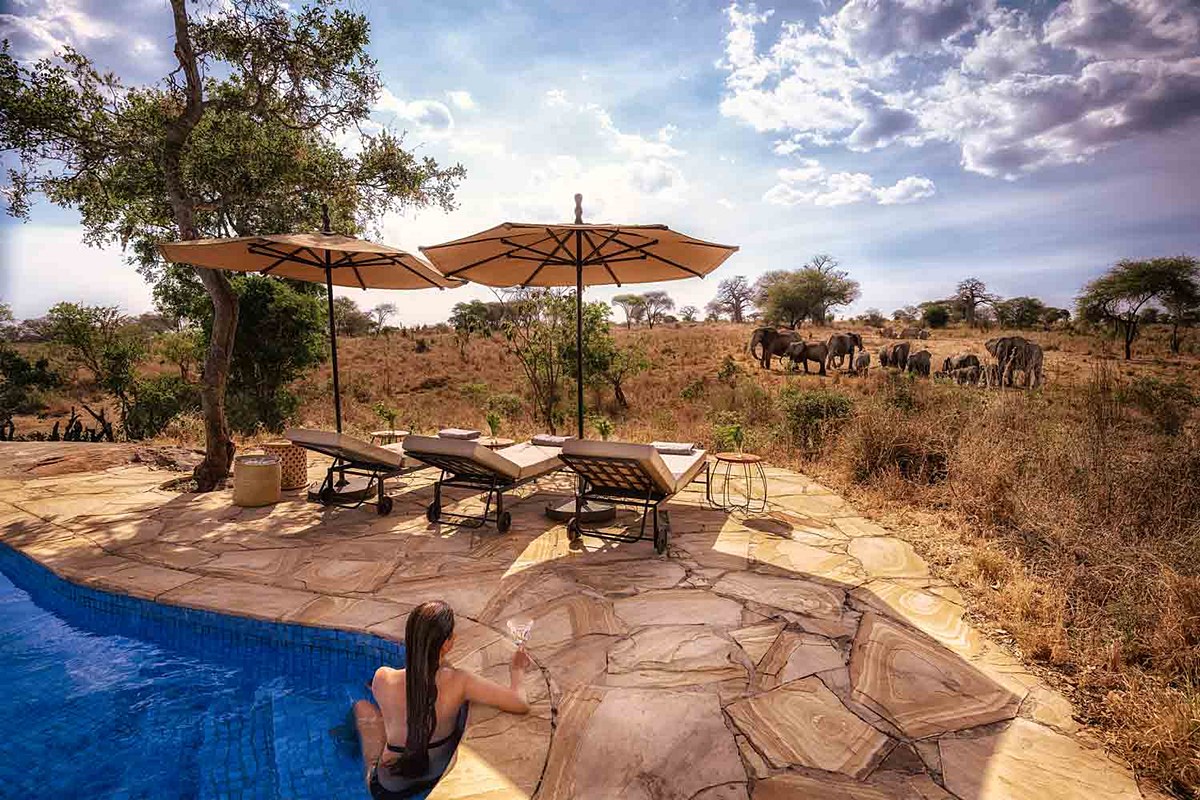 Nimali Tarangire en Tarangire