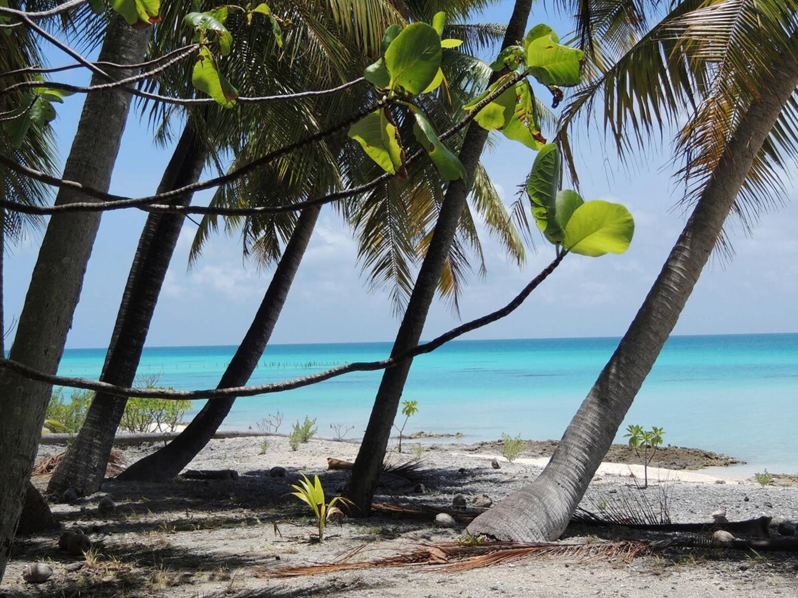 Fafarua Private Island & Lodge  en Tikehau