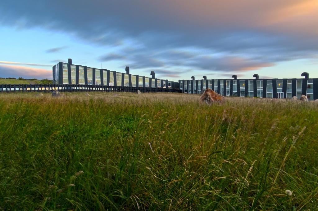 Remota en Puerto Natales