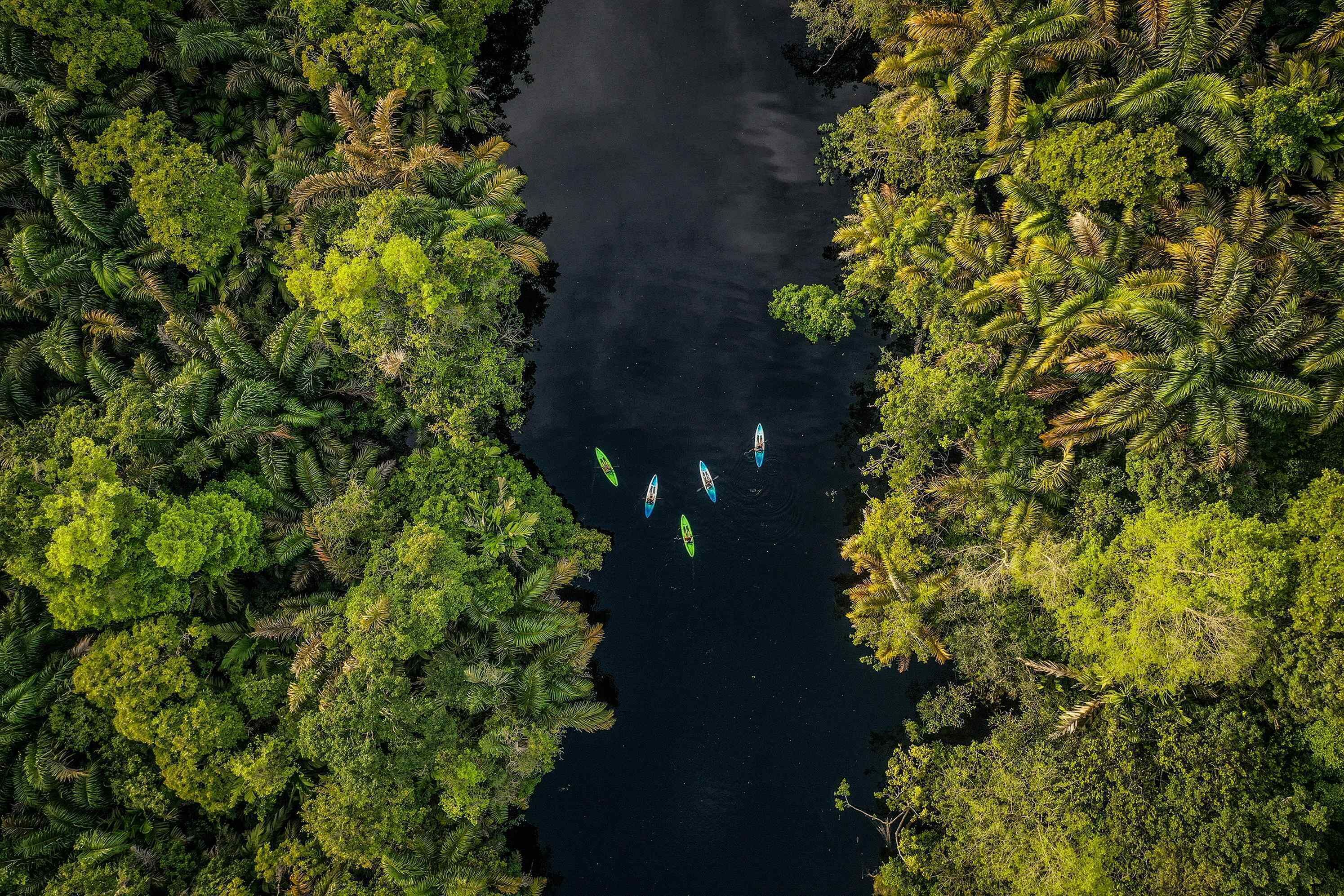 Viaje a Costa Rica *Con Osa Peninsula y Tortuguero diseñado por LAT.40