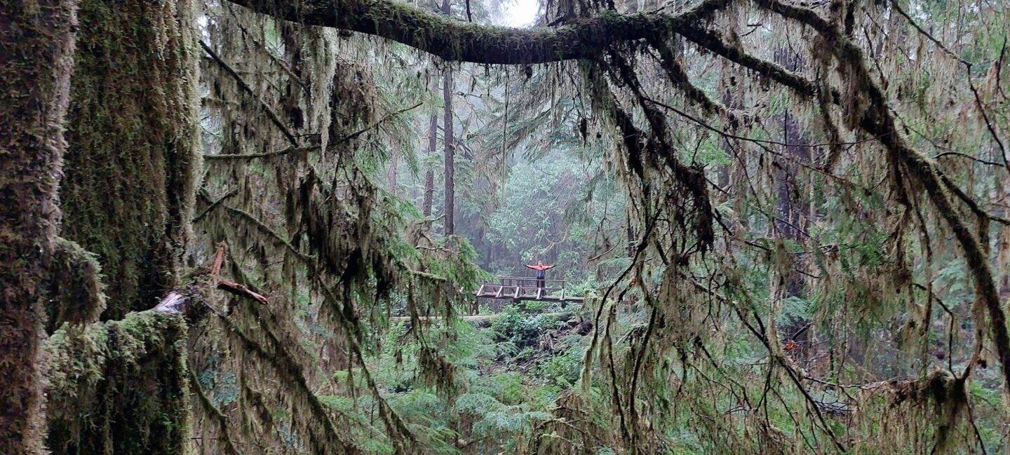 A Snug Harbour Inn en Tofino