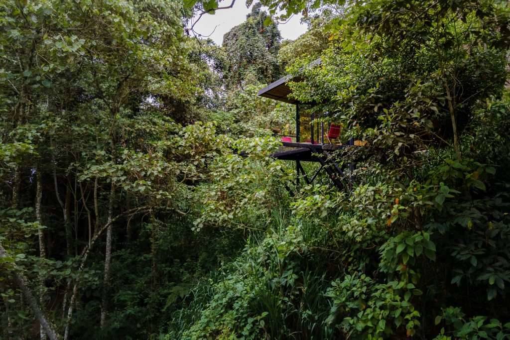Bio Habitat Hotel en Valle de Cocora