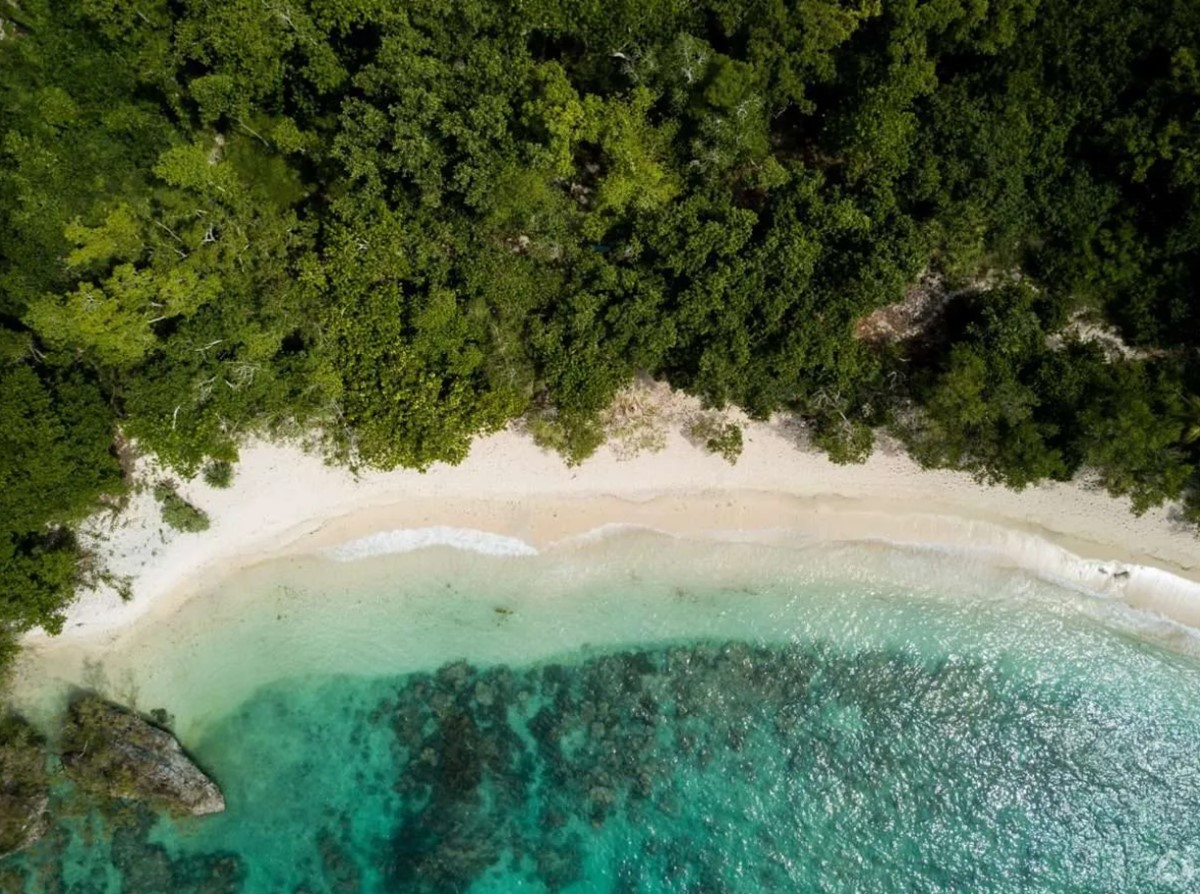 The Moso Vanuatu en Vanuatu