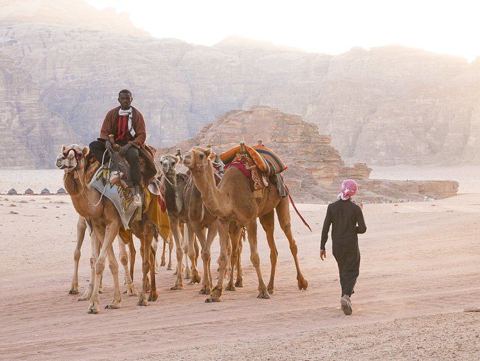 Aladdin camp en Wadi Rum
