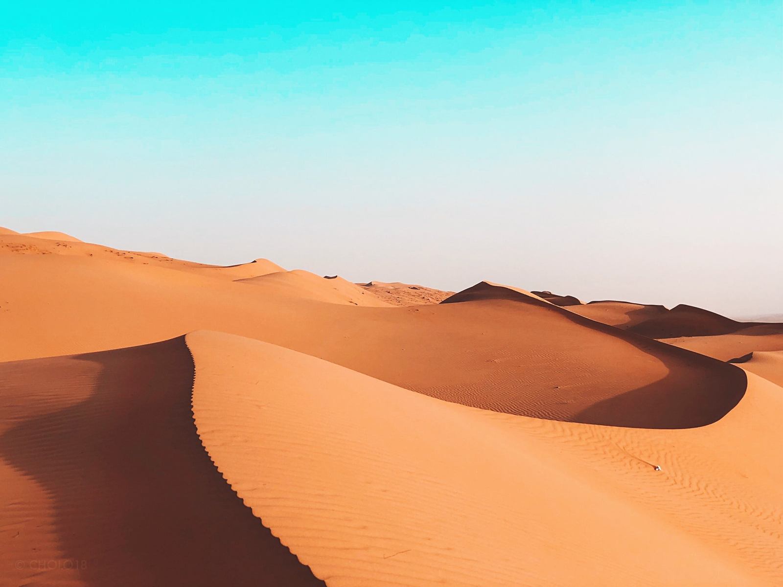 Wahiba Sands