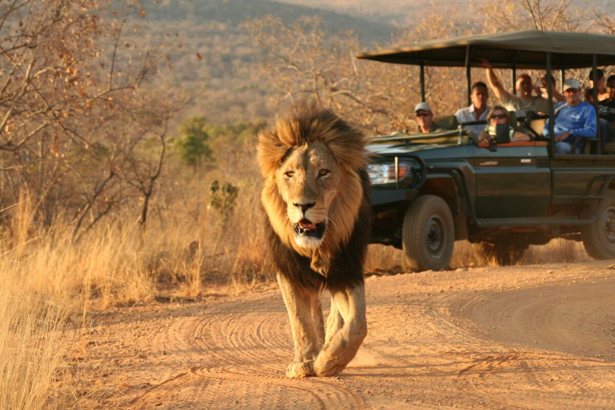 Waterberg