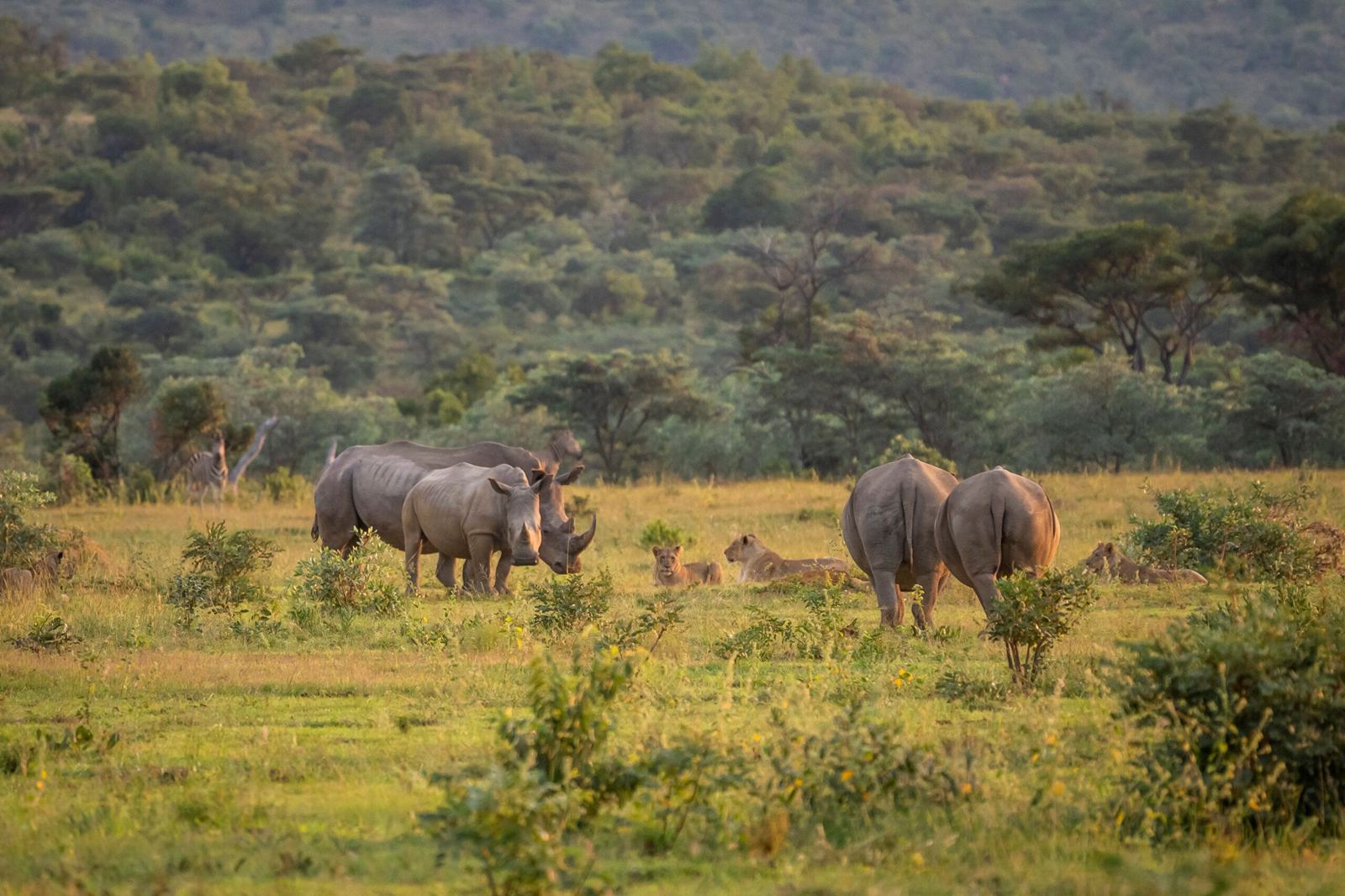 Waterberg