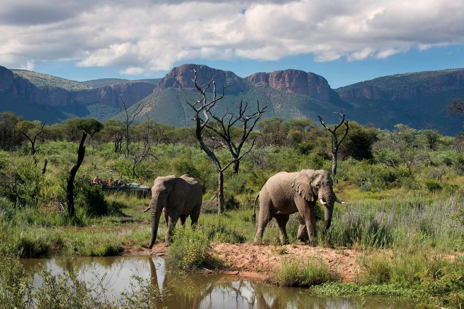 Waterberg