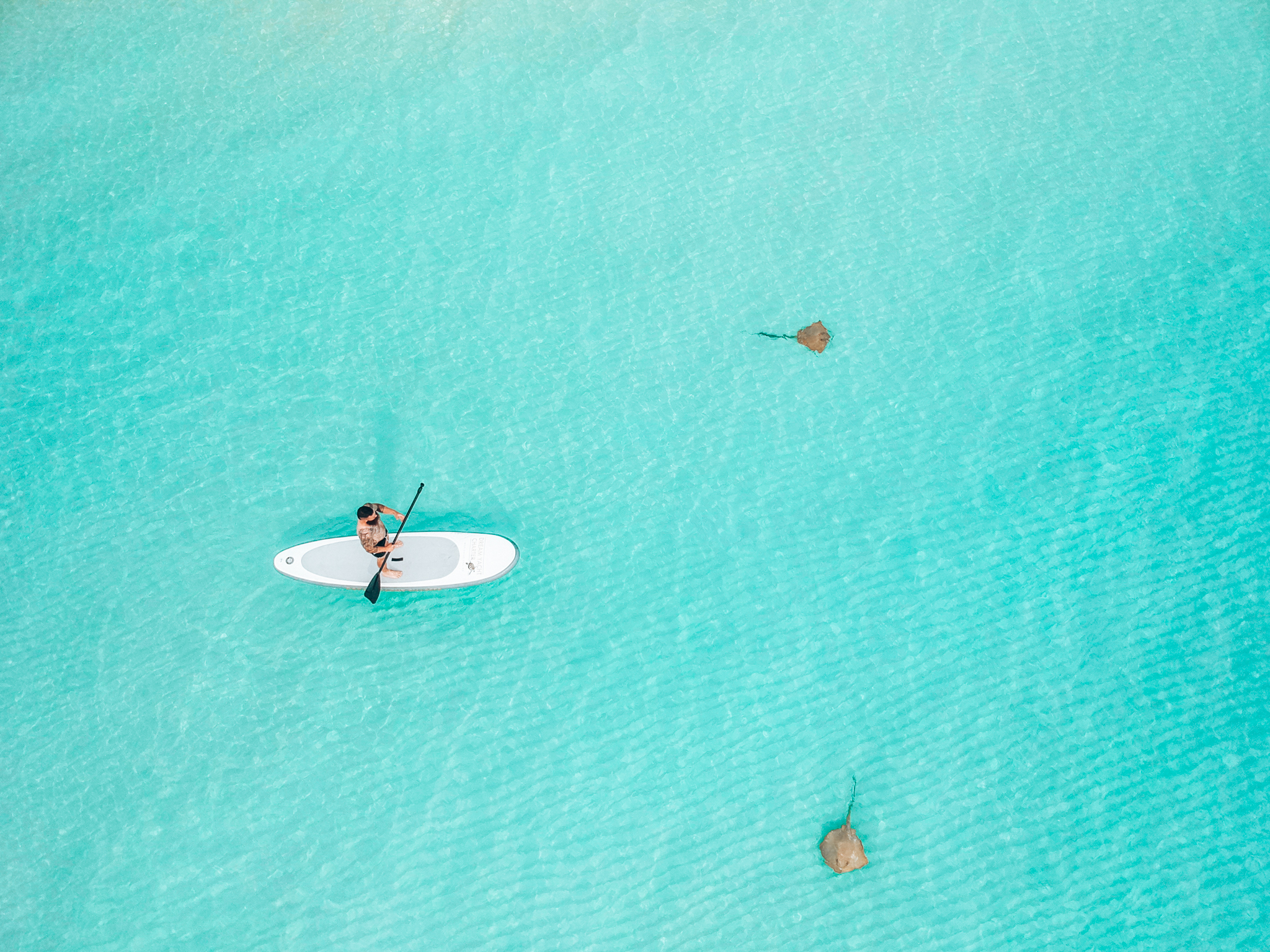 Catamaran Privado Whitesunday en Gran Barrera de Coral