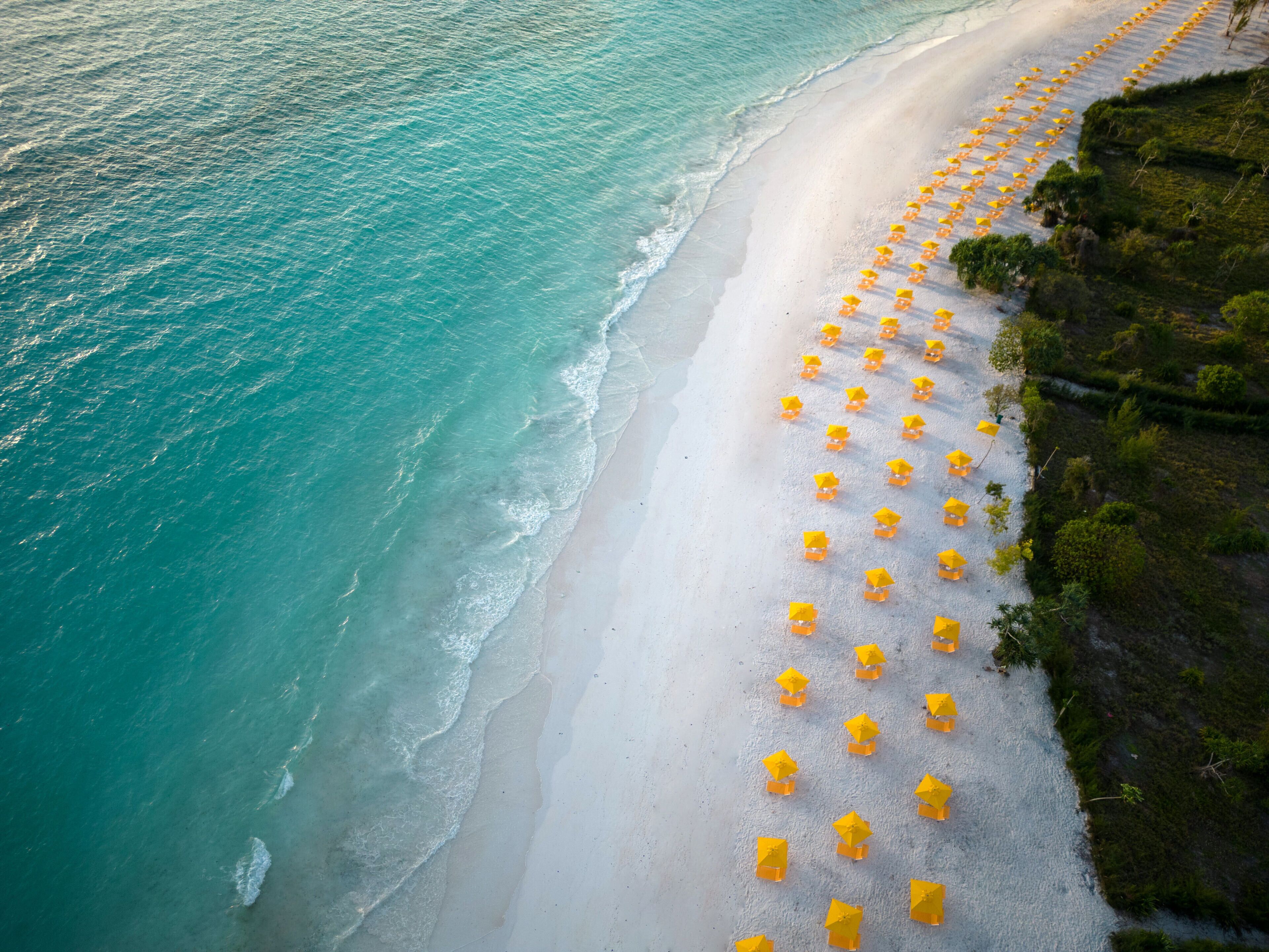 The Mora en Zanzibar