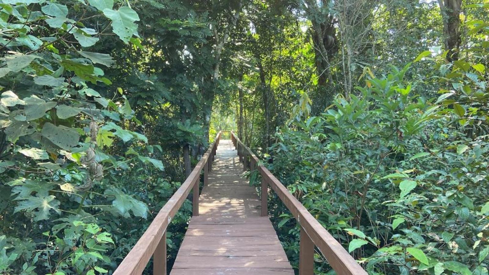 Bioma EcoLodge en Amazonas