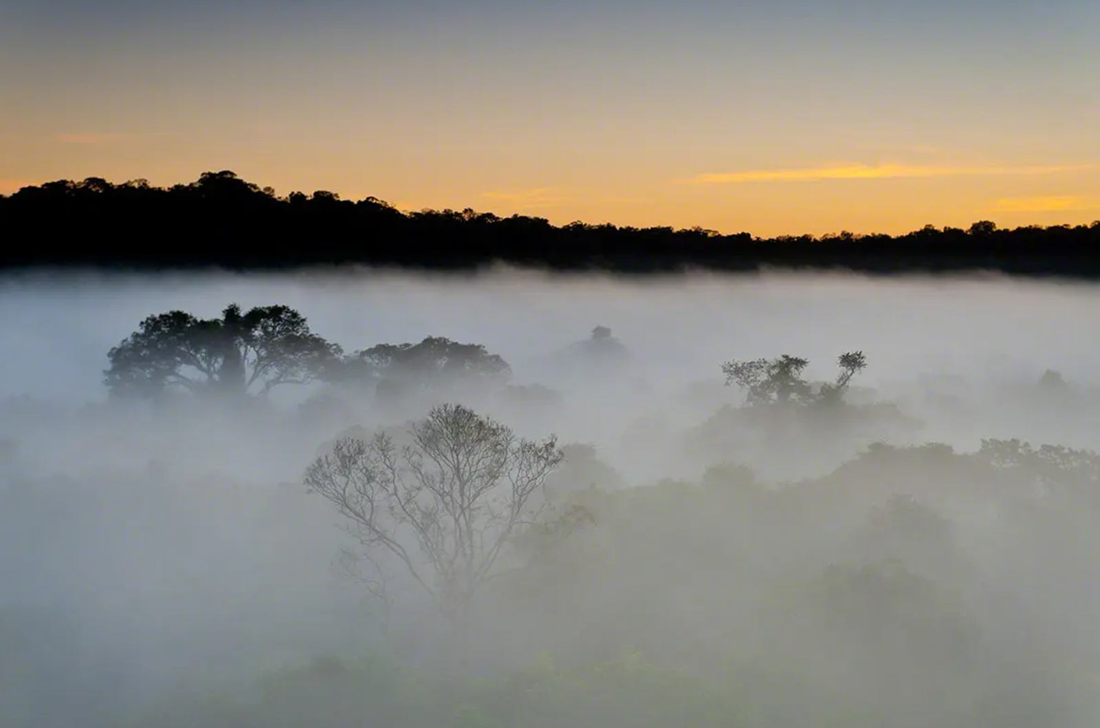 Cristalino Lodge en Amazonas